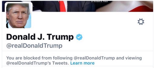 first_move_as_president-elect__block_a_bunch_of_haters_on_twitter