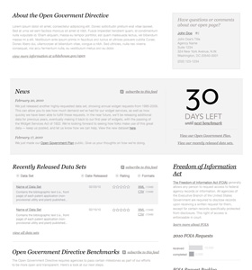 Image of our Open Government home page
