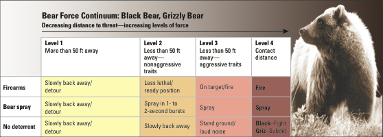 The Bear Force Continuum