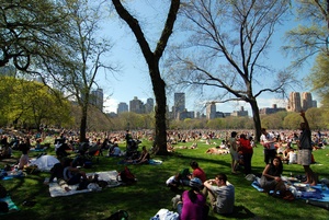 People sitting in New York's Central Park on a sunny day