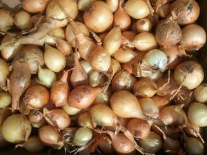 A photograph of a big pile of yellow onions that was deleted from the campaign Twitter account of Rep. Robin Kelly, D-Ill.