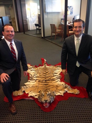 A deleted image from the @SenTedCruz Twitter account of Sen. Ted Cruz and Sen. Mike Lee kneel next to a tiger skin rug in an office.