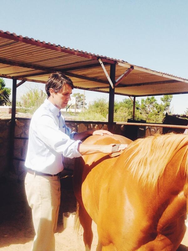 A deleted photo from the Twitter account of Rep. Beto O'Rourke, D-Texas, of the congressman brushing a horse.