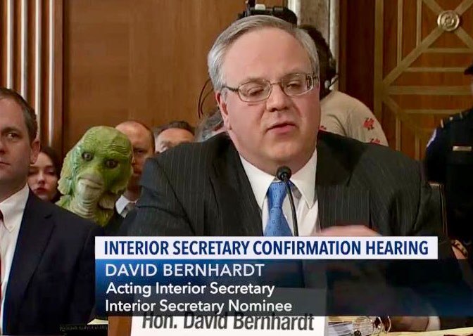 A protestor wearing a "swamp monster" mask at David Bernhardt's confirmation hearing.